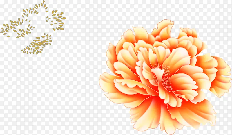 美不胜收的红色花朵背景