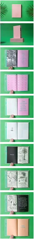 绿色叶片粉色书籍