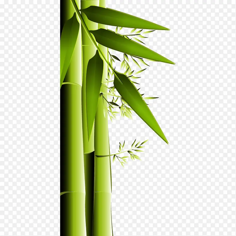 绿色竹子矢量