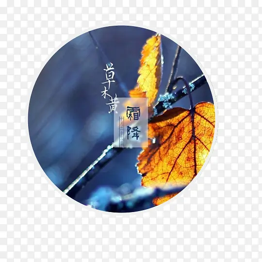 圆形霜降节气插画