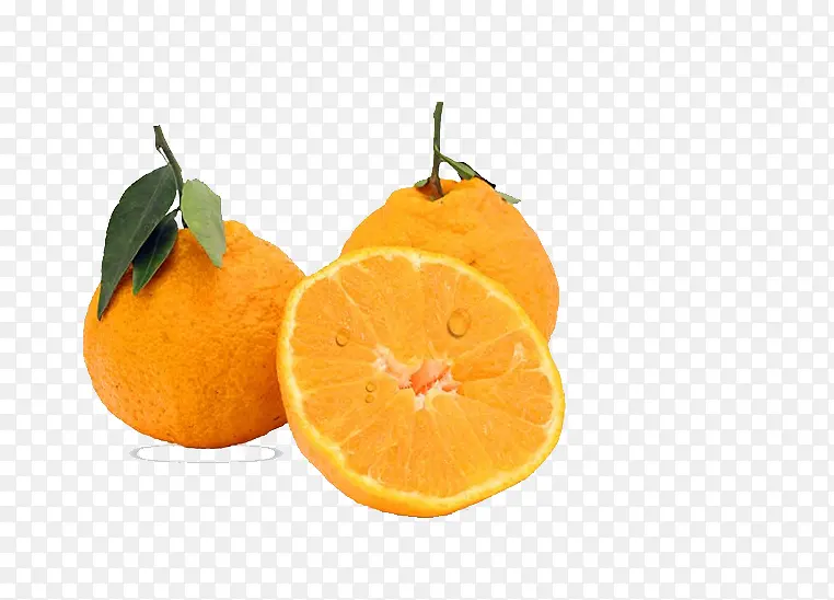 柑橘水果四川特产丑桔