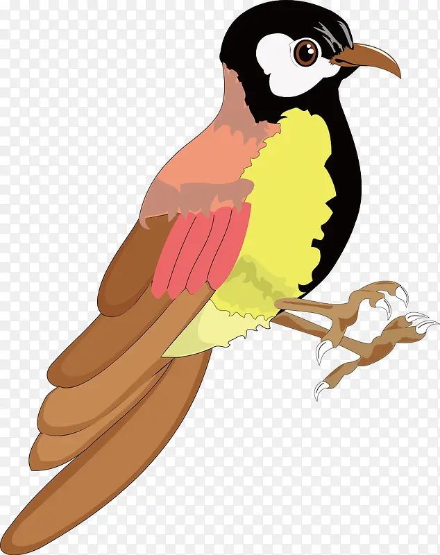 啄木鸟装饰矢量素材