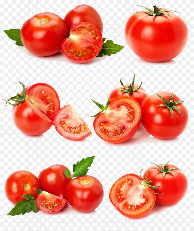 实物番茄素材