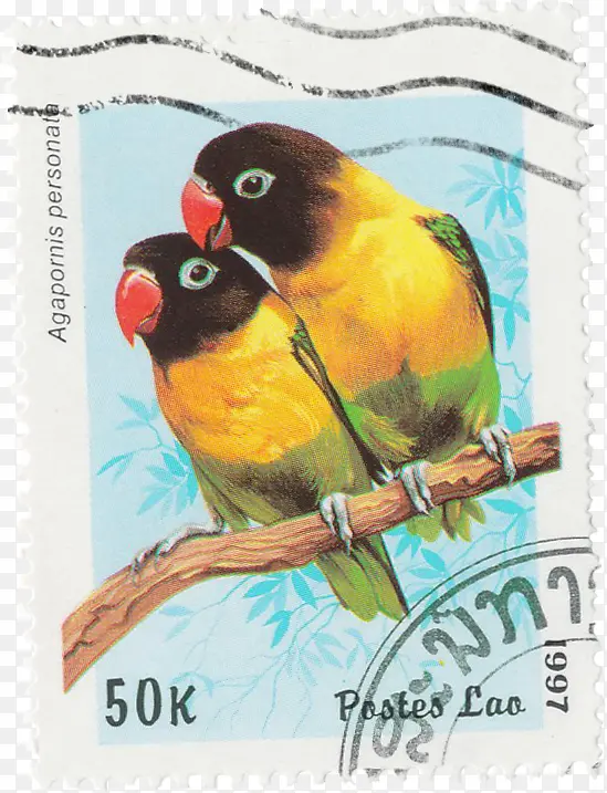 枝头鹦鹉邮票