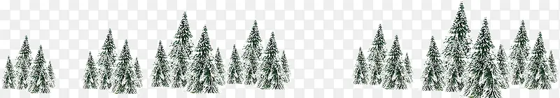 绿色积雪松树