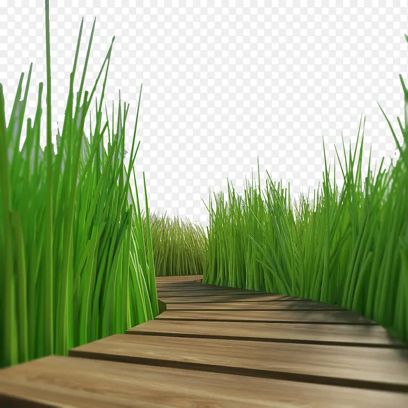 木桥边的绿草