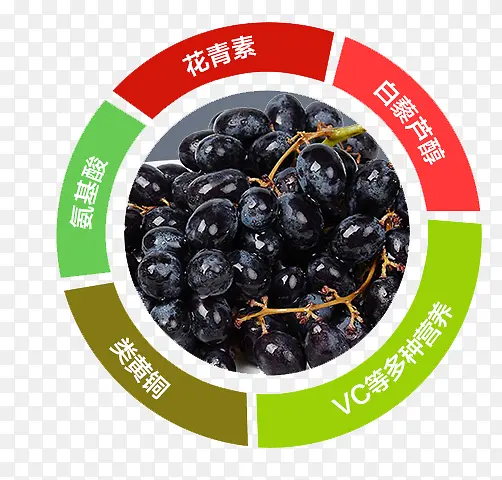 夏黑介绍图片