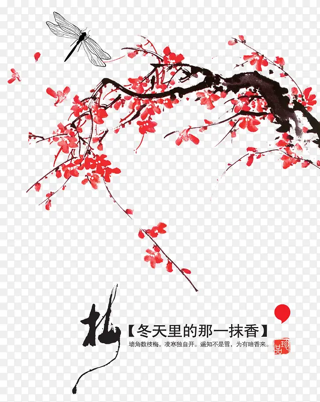 冬季严寒开放的梅花