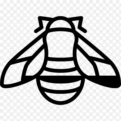 大蜜蜂图标