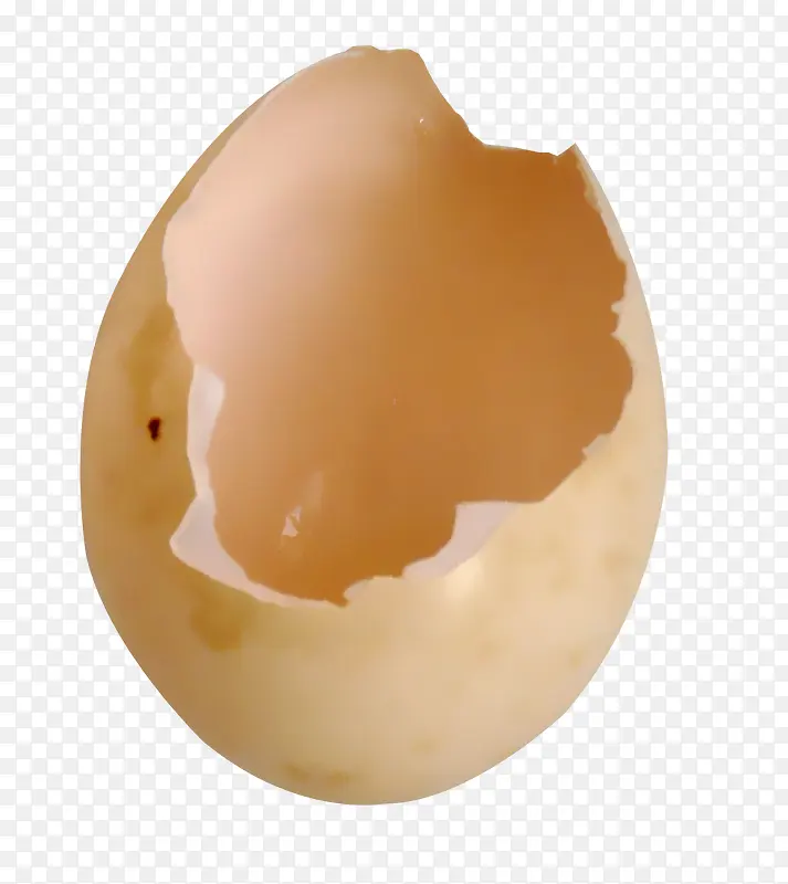 棕色残破蛋壳