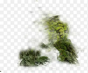草坪