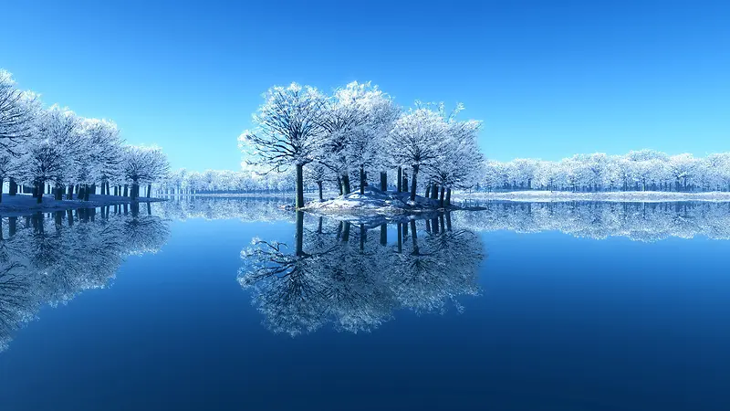 蓝天下的白色树叶海水