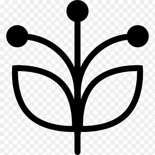 花艺设计两花瓣和雌蕊图标