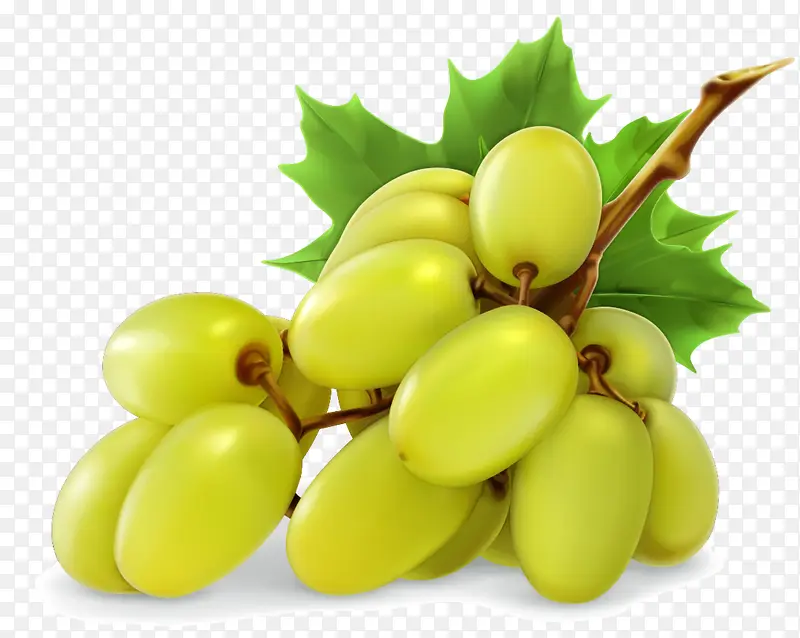 小清新绿色菩提