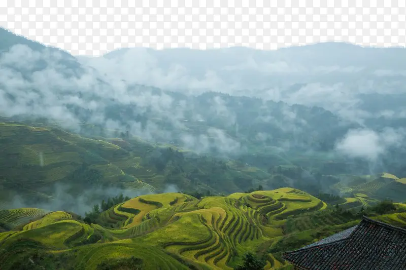 西龙脊梯田风景