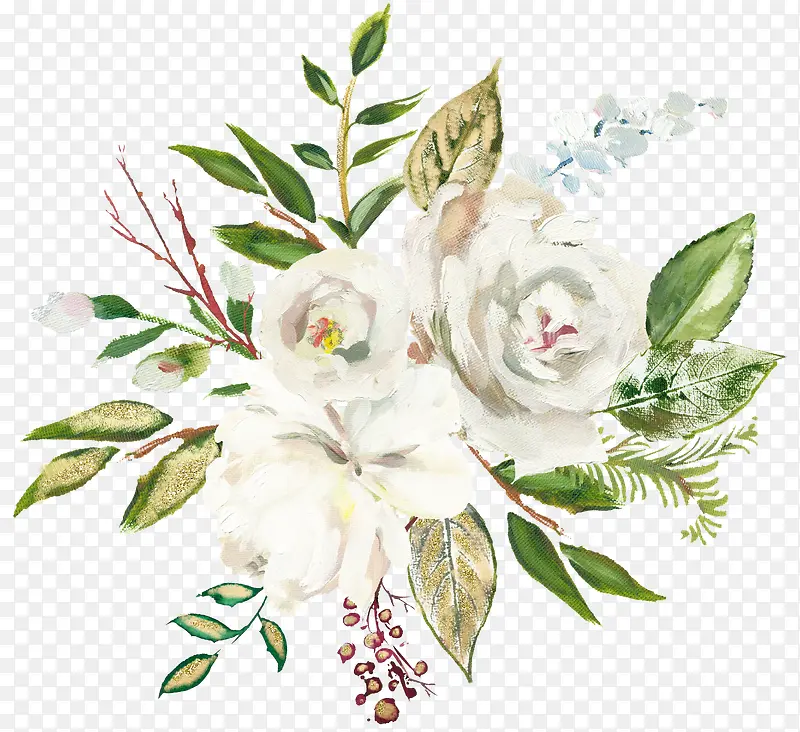 手绘植物花卉白色花朵