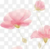 手绘粉色花卉万圣节贺卡