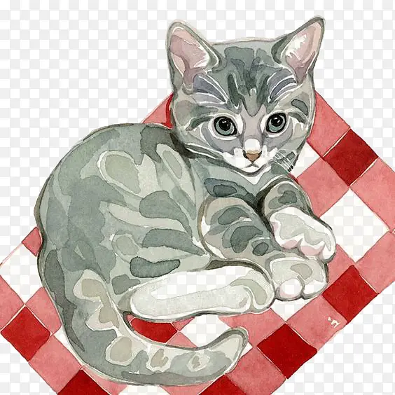 美短猫咪PNG图片素材下载_图片编号qvmdklgz-免抠素材网