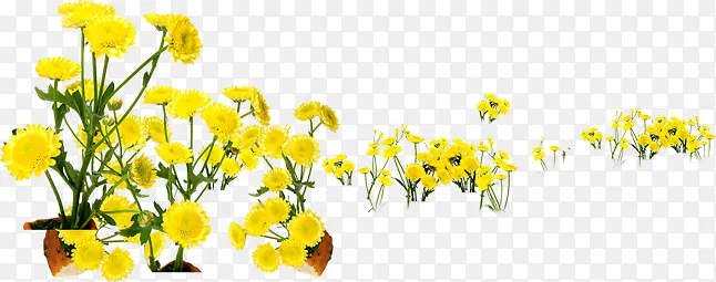 田野植物黄色卡通花朵