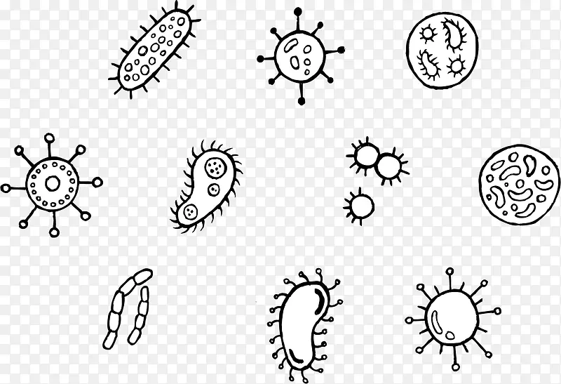 单细胞菌群