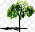 绿色个性创意树木
