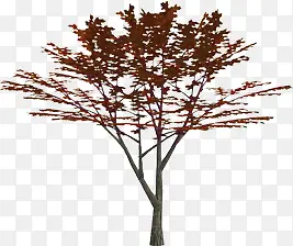 红色个性设计树木
