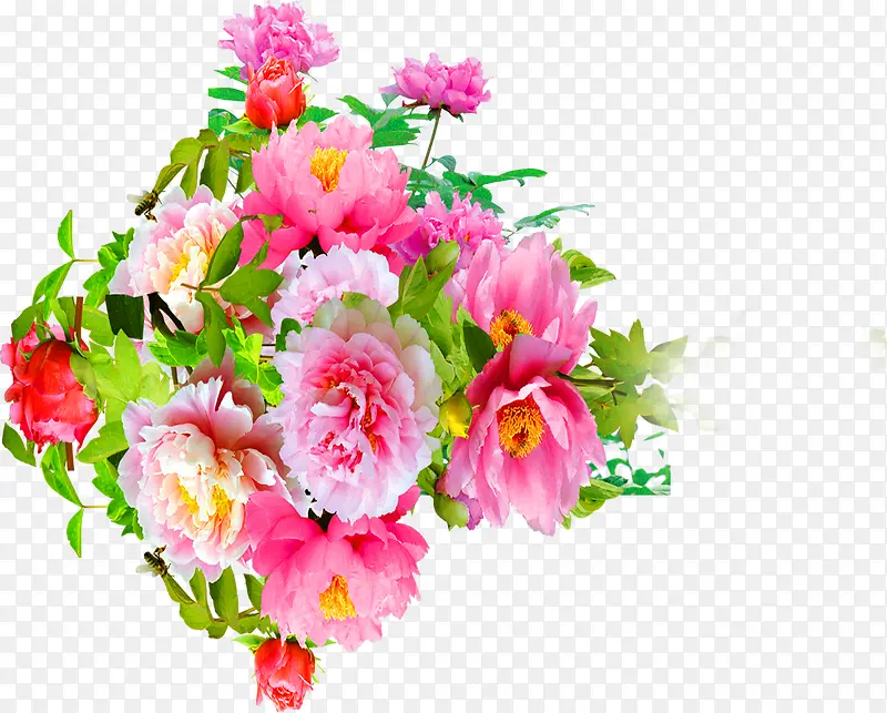 粉红色高清吊篮花朵