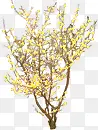 黄色个性设计树木