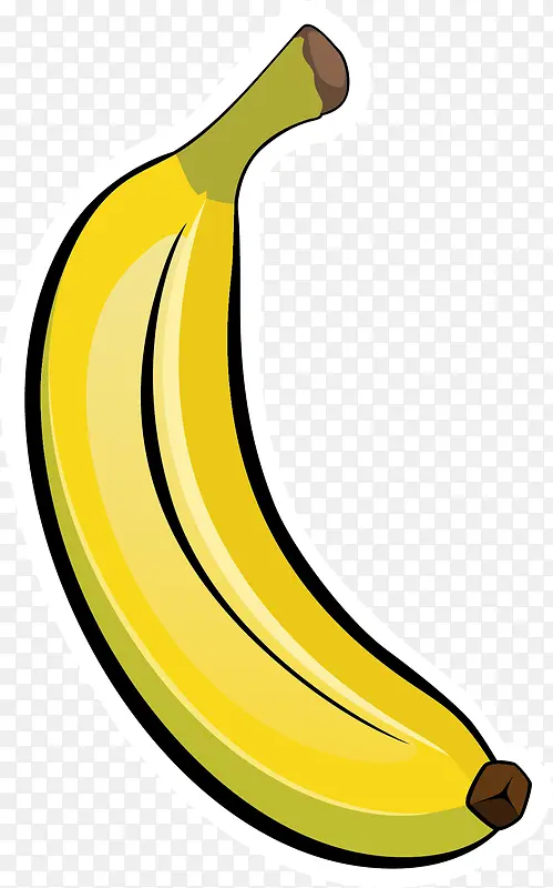 细致描绘的矢量黄色香蕉