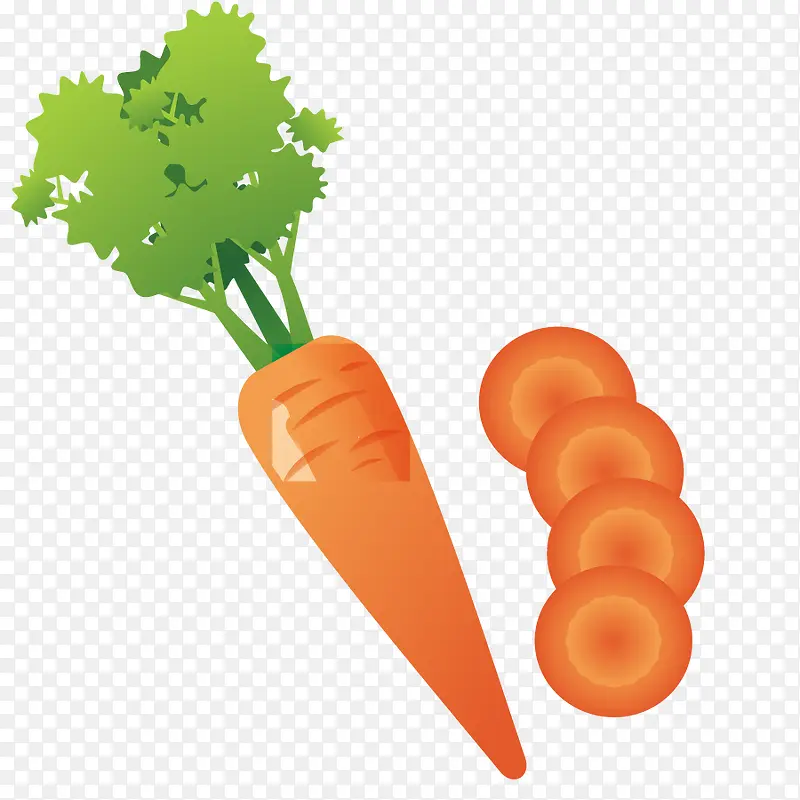 矢量蔬菜胡萝卜