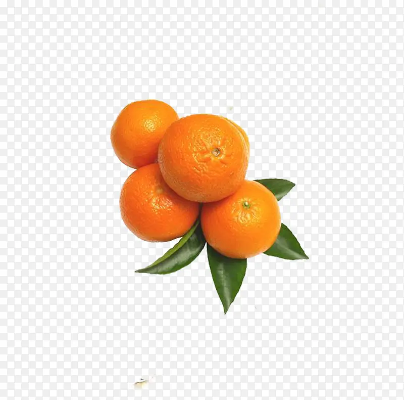 橘黄色的柑子果
