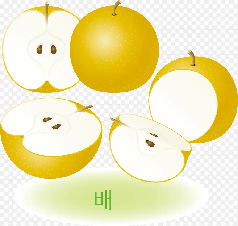 韩国风格精美诱人水果矢量素材梨
