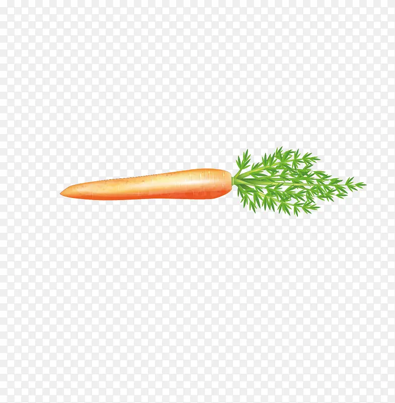 营养丰富新鲜的胡萝卜