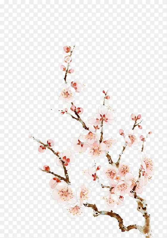 桃花树枝PNG图片素材下载_图片编号qezjpwdb-免抠素材网