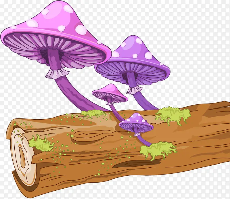 树桩上蘑菇