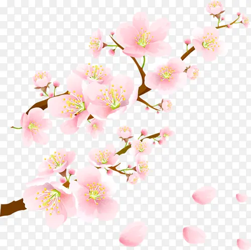 一棵桃花树