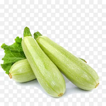 茭瓜葫芦瓜