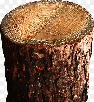 高清摄影褐色的木头木桩