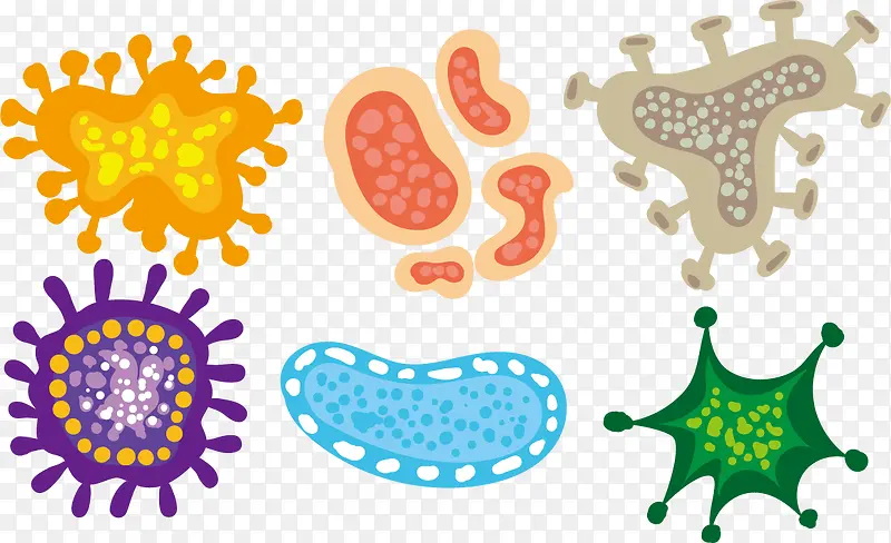 多细胞菌群