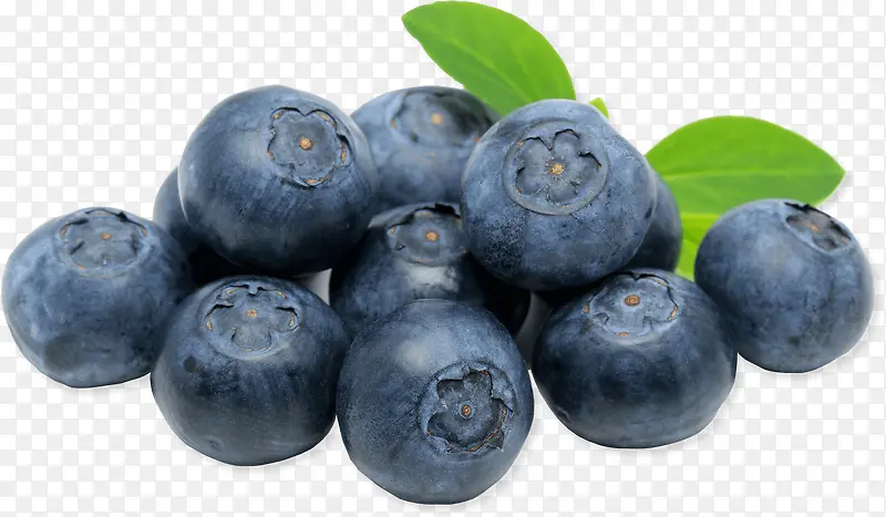饱满多汁的蓝莓
