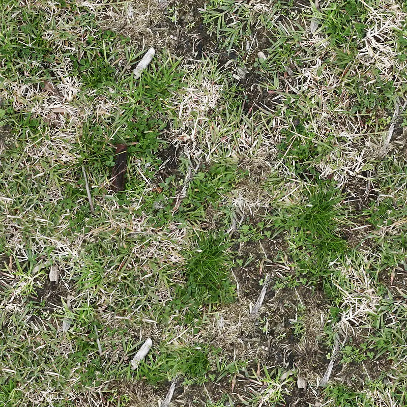 地上的草