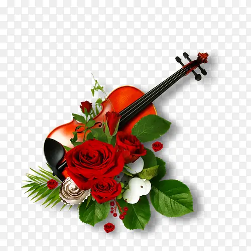 大提琴和玫瑰花