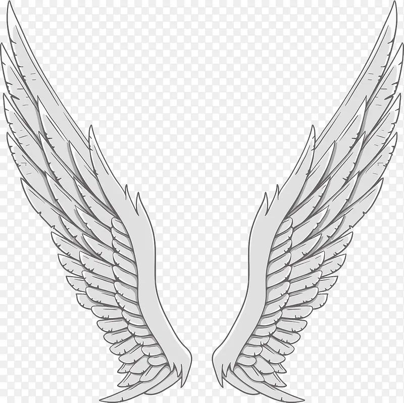 银色的天使翅膀