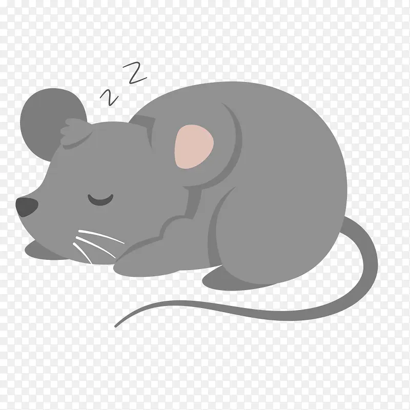 灰色动物小老鼠睡觉