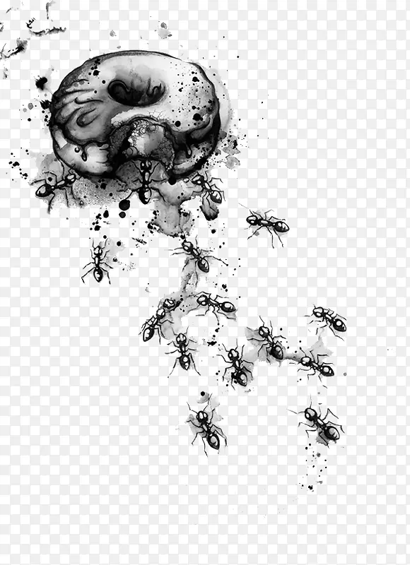 水墨食物蚂蚁插画