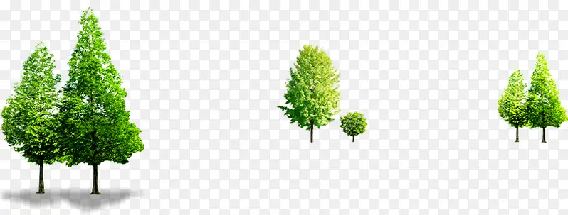绿树户外美景景观植物