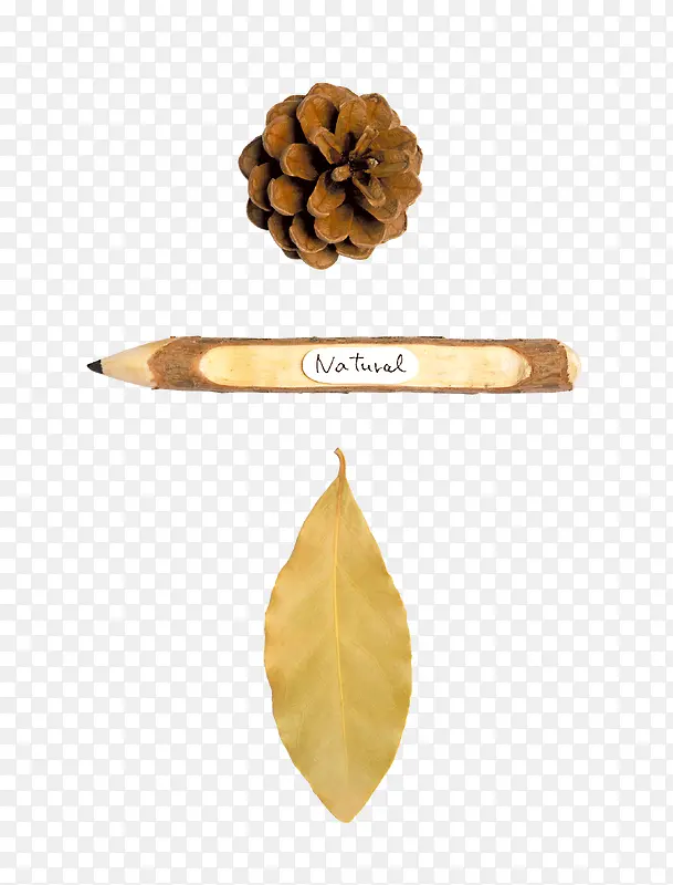 秋天的印迹