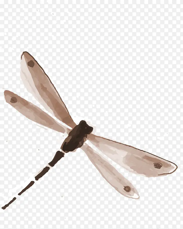 褐色中国风蜻蜓