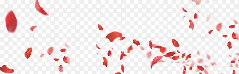 飘散飞舞的红色花瓣