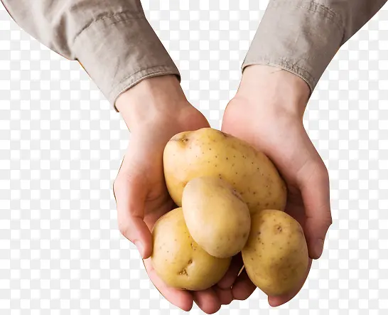 手托土豆